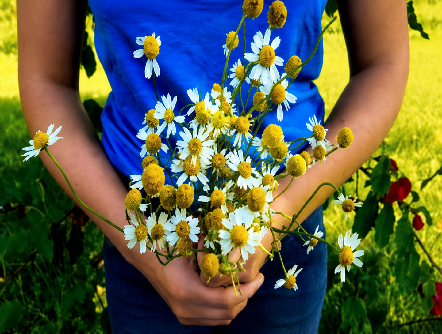 Yellow flower for dark spots